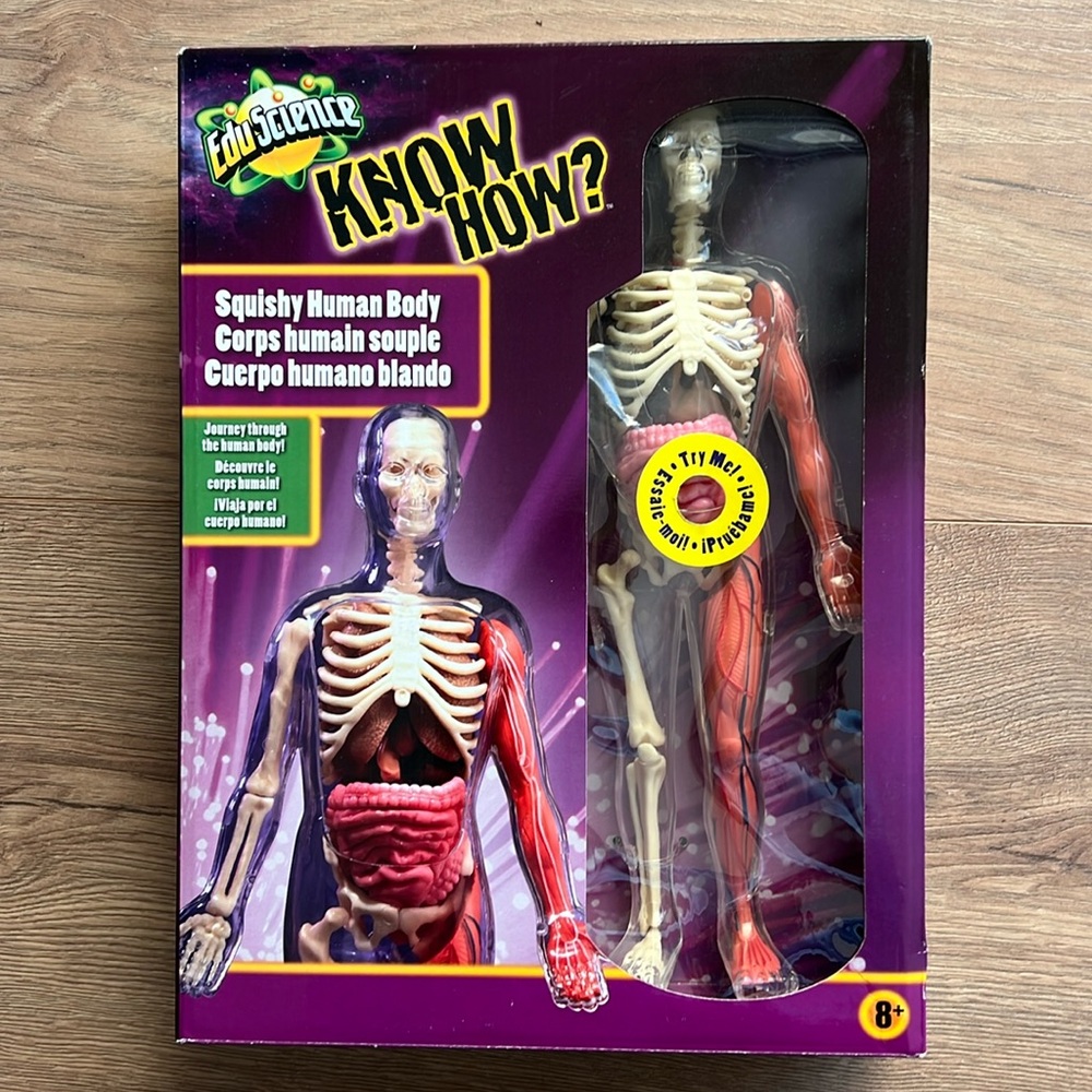 NEW Edu Science Squishy Human Body